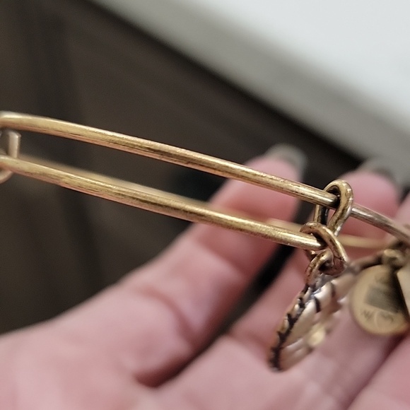 Alex and Ani Gold and Silver Anchor & Lifebuoy Charm Expandable Bangle Set - Picture 5 of 12